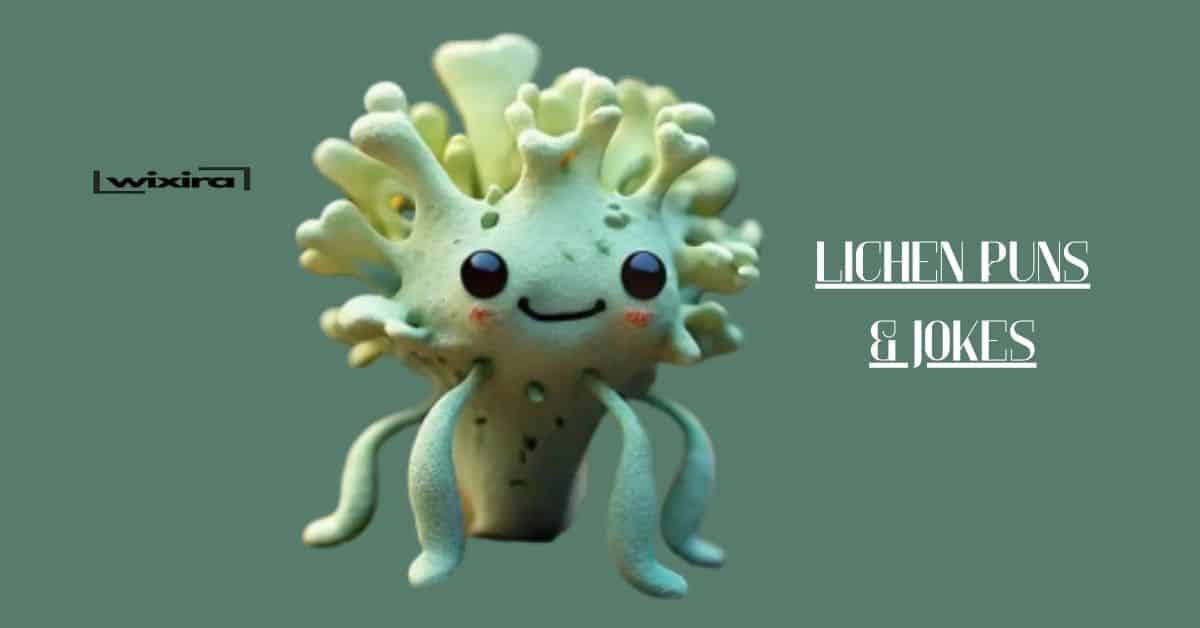 96+ Lichen Puns & Jokes: You’ve Moss Be Kidding Me!