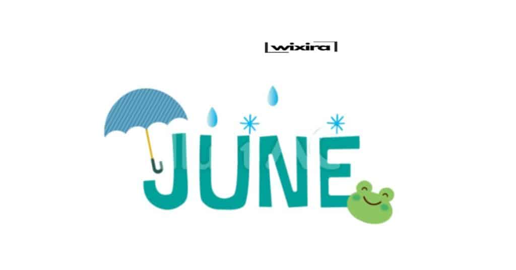 Clever ‘June Puns’