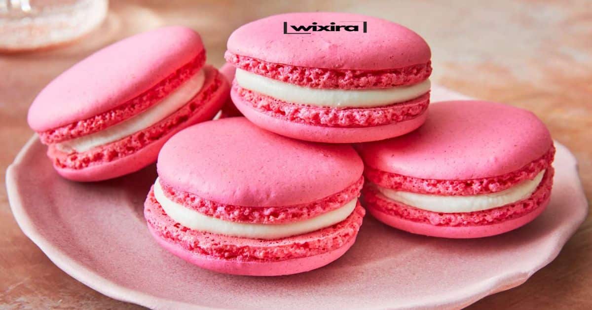 105+ Macaron Jokes & Puns: You’ll “Macaron” Laugh! 