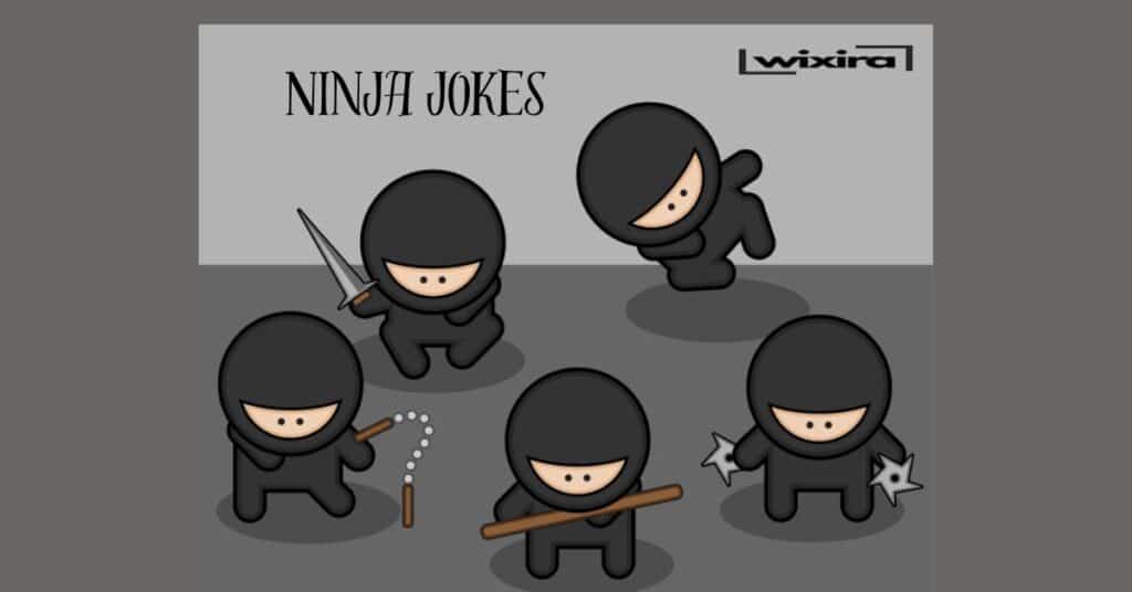 Ninja QnA Quip Jokes & Puns About Ninja  