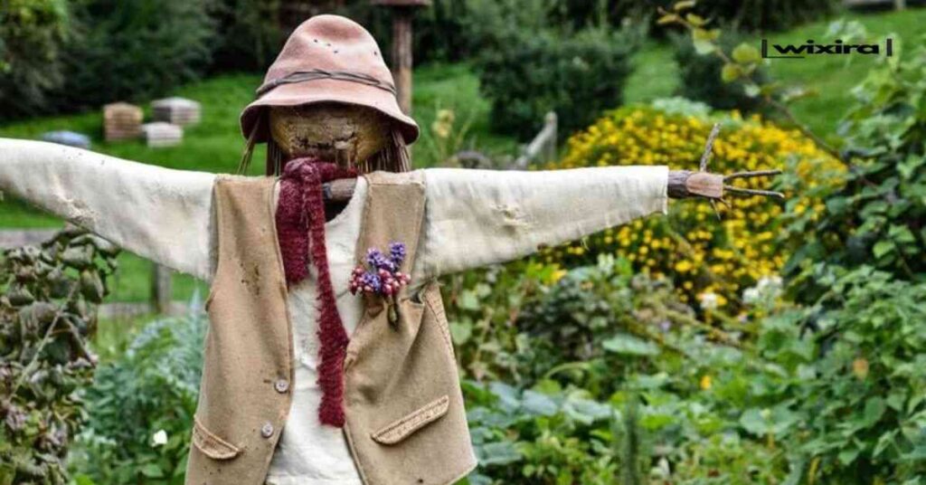 Scarecrow Jokes and Puns for Elders