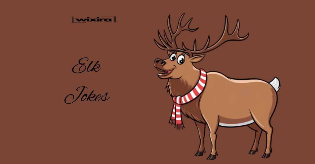 109+ Elk Jokes & Puns: You’ll Be Elk-static!