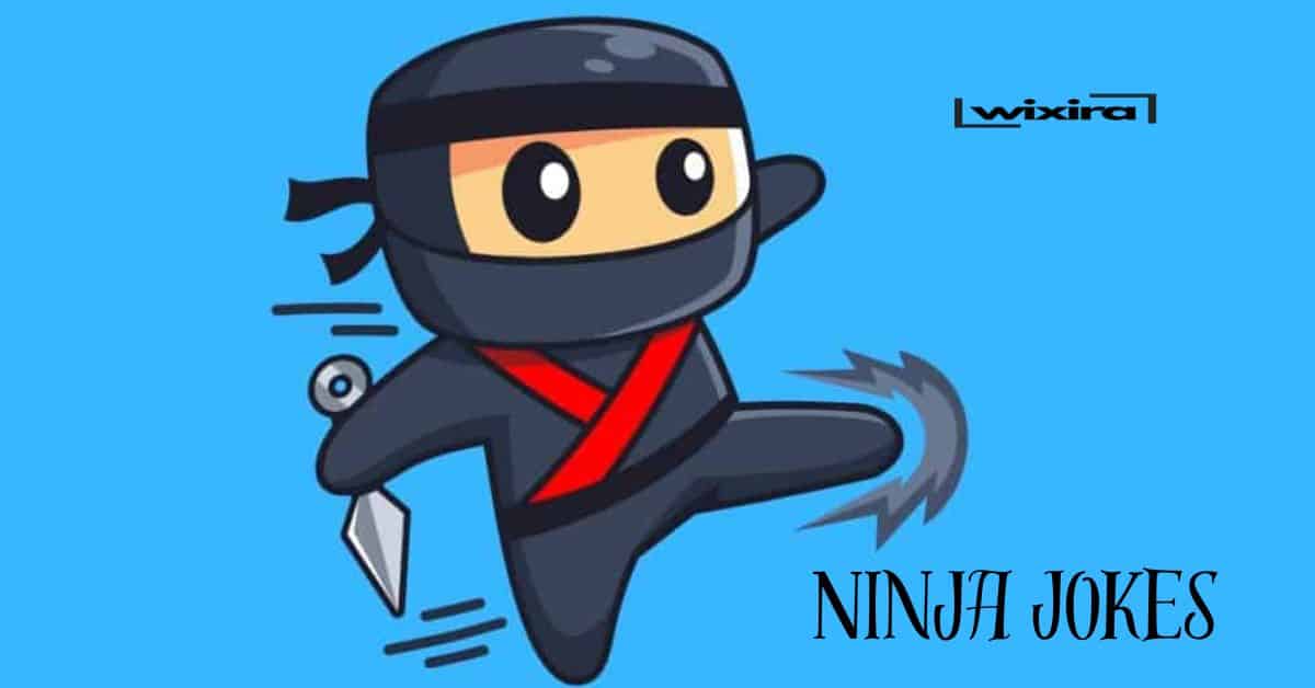 94+ Ninja Jokes & Puns: Silent But Deadly!