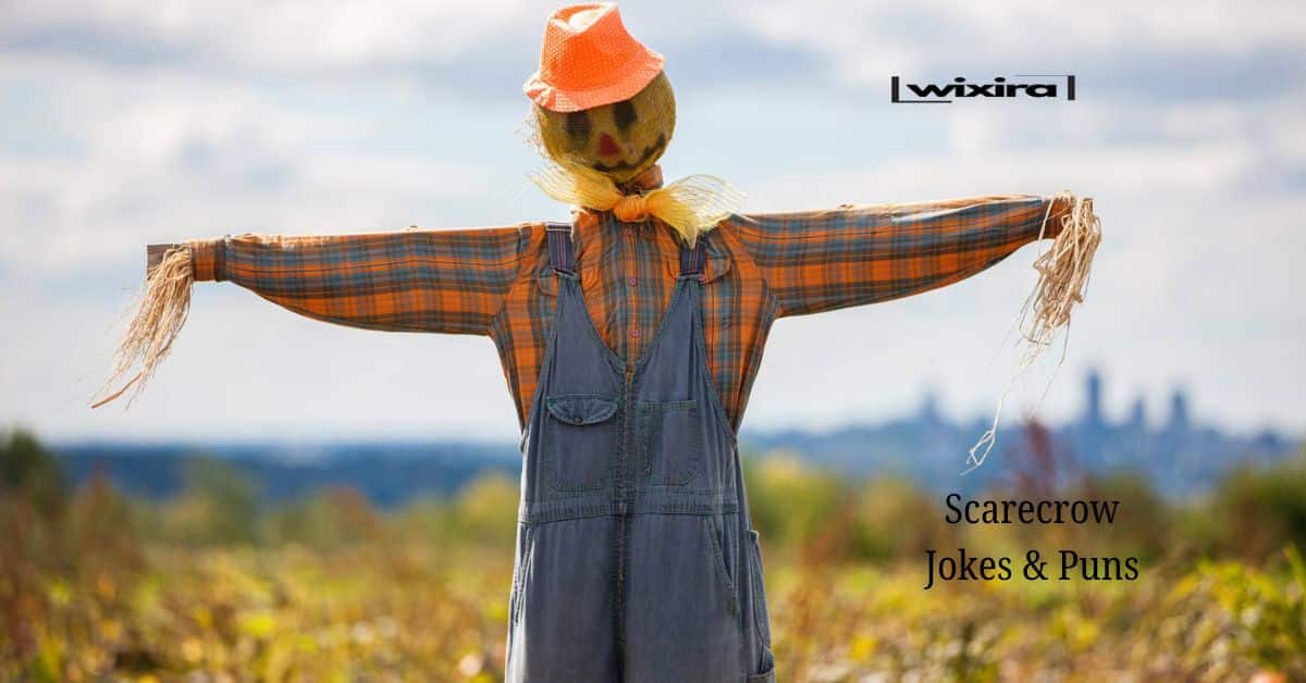 110+ Scarecrow Jokes & Puns: You’ll Be Straw-struck With Laughter