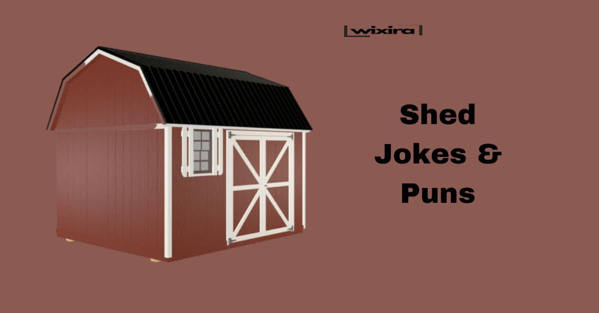 101+ Shed Jokes & Puns: You’ll Be Floored with Laughter!