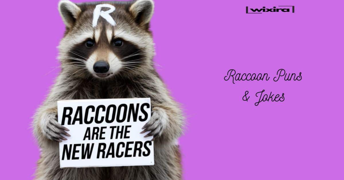 Raccoon Puns