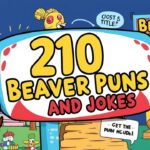 210 Beaver Puns and Jokes